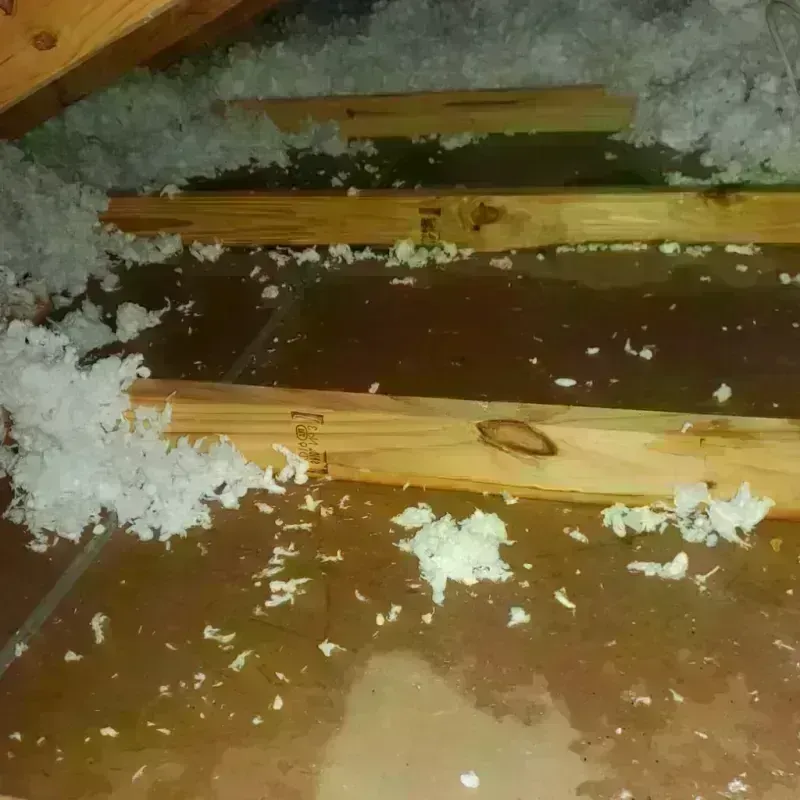 Attic Water Damage in Marion County, IN